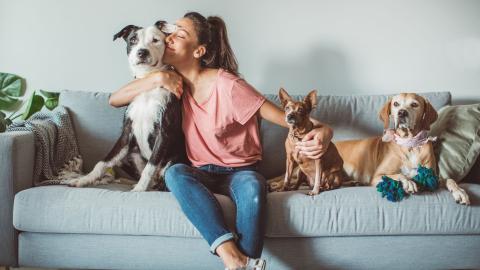 A woman sitting on a couch with her three dogs, she is giving one of the dogs a hug, keeping this happiness is why understanding sectional titles is so important for pet owners
