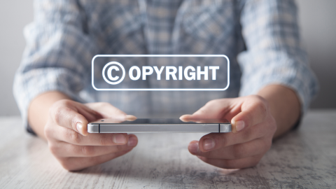 Copyright is another aspect of intellectual property rights in South Africa