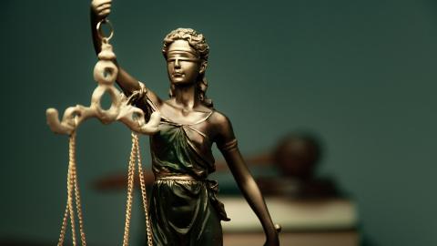 An environmental lawyer is often involved in the pursuit of justice for the environment and communities